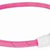 TRIXIE HALSBAND HOND FLASH LICHTHALSBAND USB TPU / NYLON ROZE