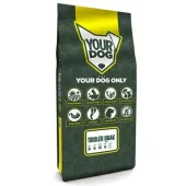 YOURDOG TIROLER BRAK PUP