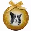 Plenty Gifts Kerstbal Frosted Border Collie Geel