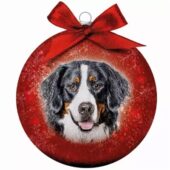 PLENTY GIFTS KERSTBAL FROSTED BERNER SENNEN ROOD